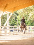 IMG_7941 IMG_7941