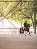 IMG_7949 IMG_7949