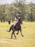 IMG_9441 IMG_9441