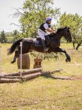 IMG_9443 IMG_9443