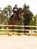 DSC05518 DSC05518