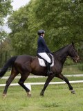 IMG_0618 IMG_0618