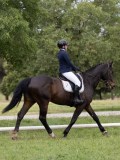 IMG_0623 IMG_0623