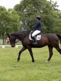 IMG_0626 IMG_0626
