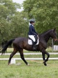 IMG_0630 IMG_0630