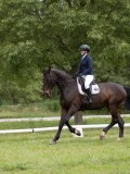 IMG_0633 IMG_0633