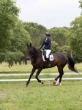 IMG_0634 IMG_0634