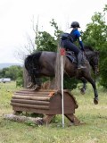 IMG_3131 IMG_3131