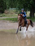 IMG_3134 IMG_3134