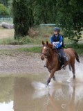 IMG_3135 IMG_3135