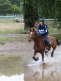 IMG_3136 IMG_3136