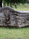 IMG_3140 IMG_3140