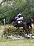 IMG_3145 IMG_3145