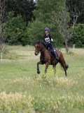 IMG_4341