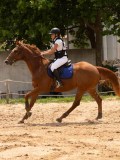 DSC00207