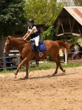 DSC00218