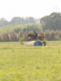 DSC00826