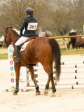 DSC06680 DSC06680