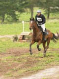 DSC00333 DSC00333