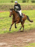 DSC00334 DSC00334