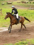 DSC00335 DSC00335