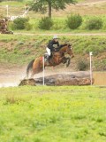 DSC00339 DSC00339