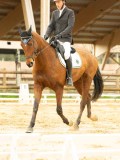 DSC08765 DSC08765