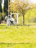 DSC00125
