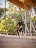 IMG_7980 IMG_7980