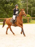DSC05523 DSC05523