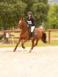 DSC05525 DSC05525
