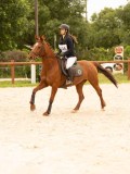 DSC05527 DSC05527