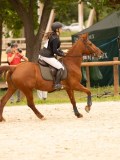 DSC05535 DSC05535