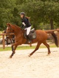 DSC05538 DSC05538