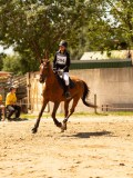 DSC09694 DSC09694