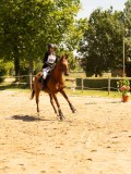 DSC09698 DSC09698