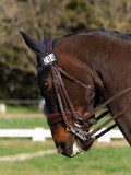 IMG_1591