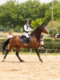 DSC00195