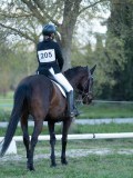 3FT07135 3FT07135