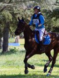 IMG_1741 IMG_1741