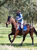 IMG_1745 IMG_1745