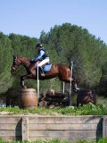 IMG_1748 IMG_1748