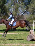 IMG_1752 IMG_1752