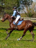 IMG_1757 IMG_1757