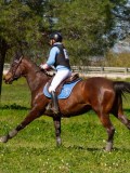 IMG_1758 IMG_1758