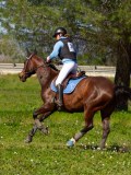 IMG_1761 IMG_1761
