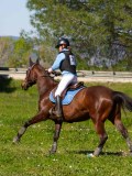 IMG_1762 IMG_1762