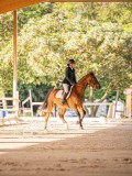 IMG_8038 IMG_8038