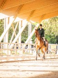 IMG_8043 IMG_8043