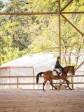 IMG_8050 IMG_8050